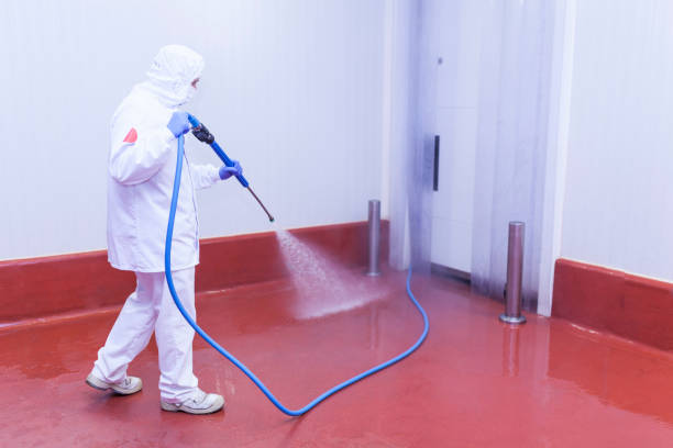 Paint Preparation in Cottonwood Shores, TX